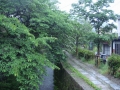 Kyoto : Gion